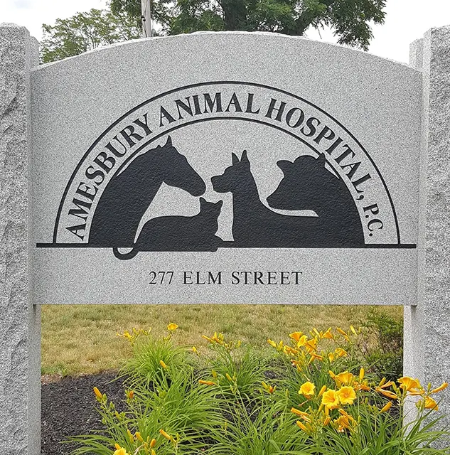amesbury animal hospital sign